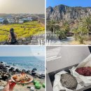 천지목장(2) | 3월 제주도 유채꽃 여행코스 추천ㅣ2박 3일 일정 &amp; 맛집 숙소 정리