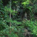 마치세월교 이미지