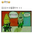 오늘, 제주 이미지