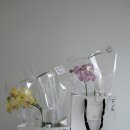 백승진농장 이미지