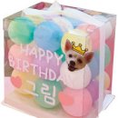 야옹이와 멍멍이 이미지