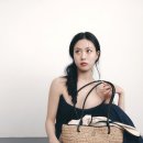 분크 이미지