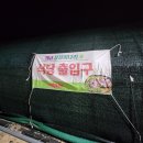 대규미나리 네이버블로그