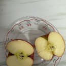 대박사과농원 | 과일선물세트 사과유명한곳 추천 : 정담아농원 햇사과 부사사과 후기