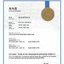 염색팡팡 이미지