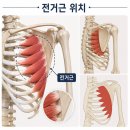 신흥역PT/신흥PT :: 날개뼈가 튀어나온다면? [출처] 신흥역PT/신흥PT :: 날개뼈가 튀어나온다면?|작성자 스카이피트니스신흥점 이미지