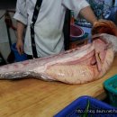 화선식당 이미지