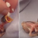 밥풀과학 이미지