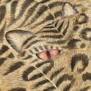 인천광역시청 북부교육문화센터 | 갤러리현대, 두가헌, < 화이도(畵以道) >