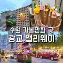 [엘리웨이광교]수원 가볼만한 곳/ 광교호수공원근처 갤러리아 갔다가 방문하기 좋은 쇼핑센터