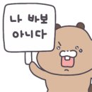 알리앙스 이미지