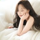 디어플랜 이미지