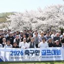 정D.C마트 이미지