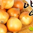 둥근집 이미지