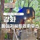 숲놀이터에서 체험하고 놀고 먹는 강화도 톰아저씨트리하우스 하품하는티라노방! 남아 에너지 방출최고...
