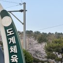 도계체육공원 게이트볼장 | 창원 벚꽃 명소 조용히 즐기기 좋은 도계체육공원 벚꽃 개화 상황