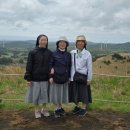 제주성지 | [제주 성지순례 후기] 파티마의성모 프란치스코 수녀회(1차)