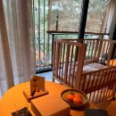 미투호텔 | [교토] 12월 돌아기와 교토 여행 1일차｜식스센스 교토 Six Senses Kyoto 체크인