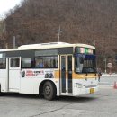 중앙시장(1208) 이미지