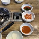 메기대감 이미지