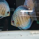 (주)아쿠아링크 이미지