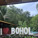 영장농장 | 보홀 육상투어 코스 추천 및 종합 후기/초콜릿 힐 - 안경원숭이 - 맨 메이드 - 로복강 선상뷔페/반딧불...