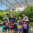 복음농장 | 치앙마이 마마노이 쿠킹클래스 100% 내돈내산 후기｜메뉴추천 &amp; 에어컨 옵션 필수?