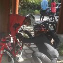 쁘띠샤방 이미지