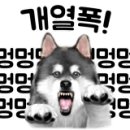 홍천동산펜션오토캠핑장 이미지