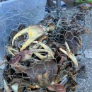 아침시장 화장실 이미지