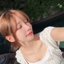 마젠타 이미지