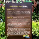 부암3동-17 이미지