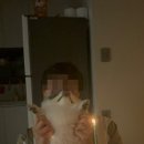 헬퍼독 애견펜션 이미지