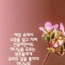 샬롬 - 은평구 | 샬롬