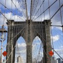 브루클린 이미지