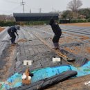 서수원농자재마트 이미지