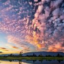 영춘전통시장 이미지