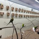 전일목장 이미지