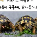 거북이약국 이미지