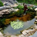 전통찻집 다온 이미지