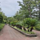 한림공원 이미지