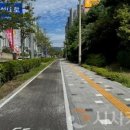 삼성대로 이미지