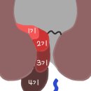 위대항의원 이미지