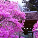 마중가는길 이미지