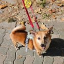 산책하는날 이미지