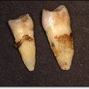 나전치과의원 이미지