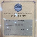 앨리스코리아켄넬 이미지