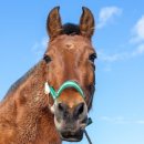 까치산역 이미지