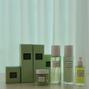 라인댄스 B(기초) | [제품후기] 26년 가정의달 세일 어버이날 선물추천 김정문알로에 큐어피토라인 기초세트