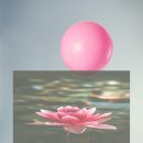 바람에정원민박 이미지
